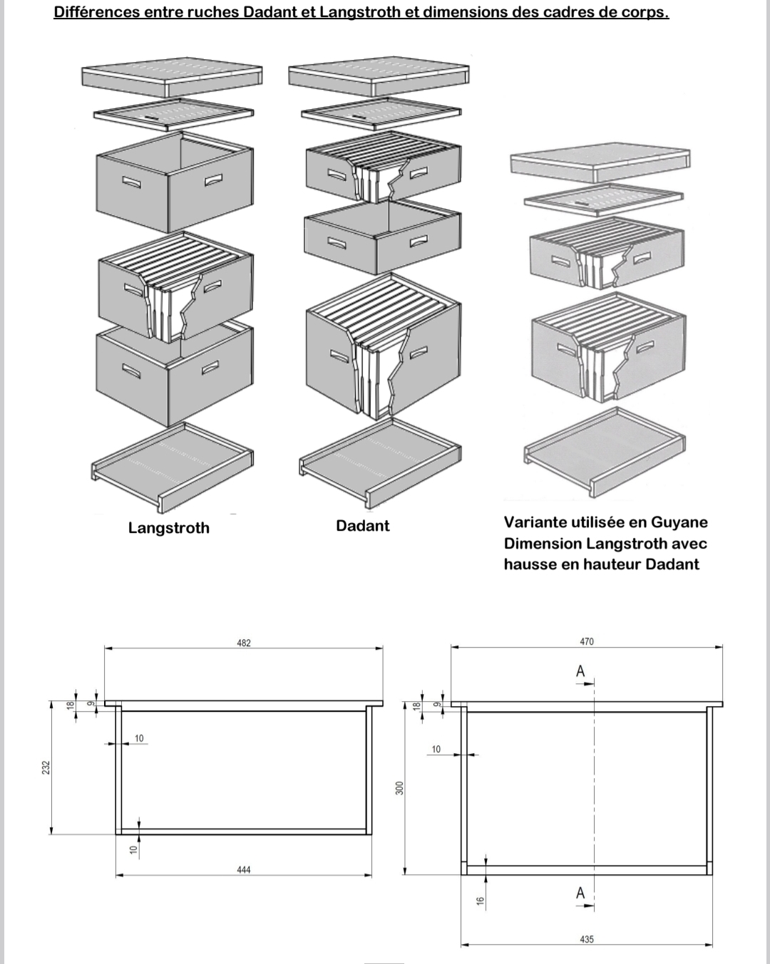 Plan de ruche — vue 2