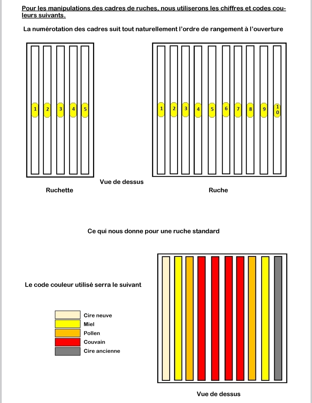 Plan de ruche — vue 3