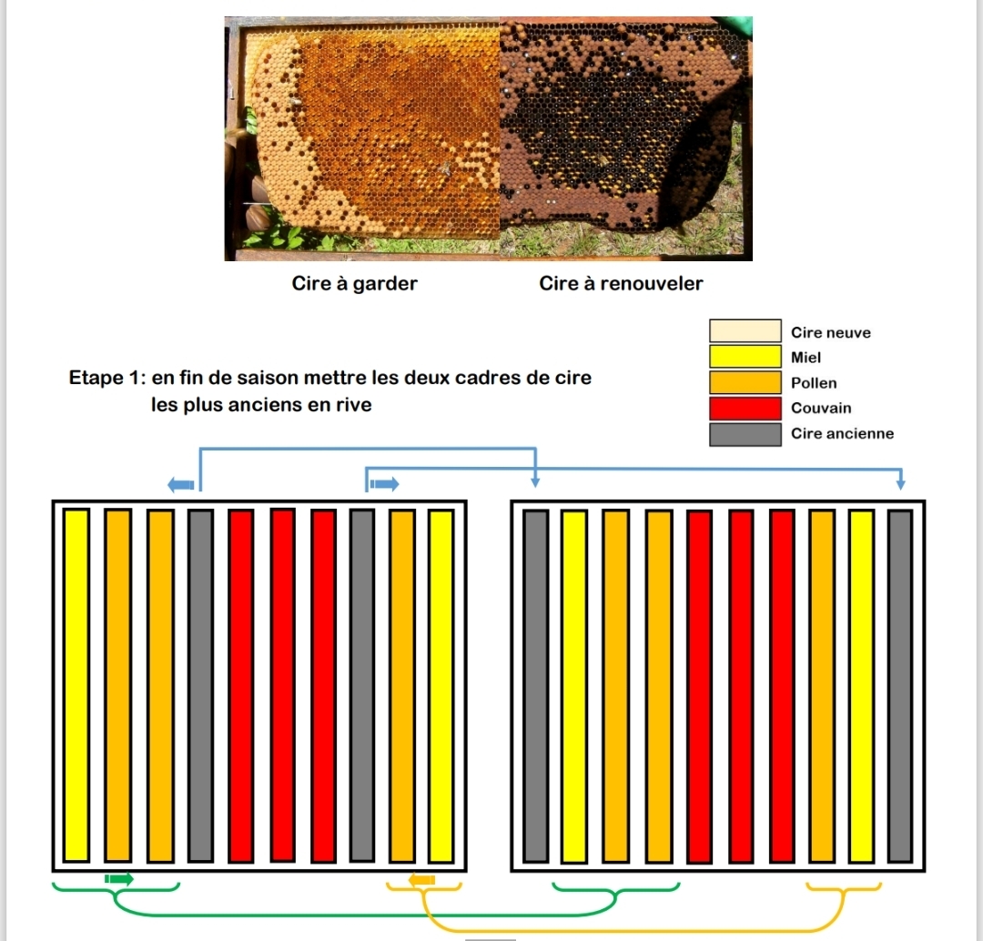 Gestion des cadres de cire — illustration 1